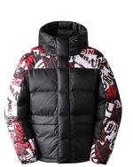 Duvet Jacket The North Face HIMALAYAN DOWN PARKA Hooded Feather D goose man Lavender Fog Cole Navin Halfdome Print