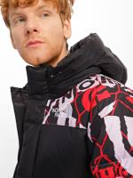 Duvet Jacket The North Face HIMALAYAN DOWN PARKA Hooded Feather D goose man Lavender Fog Cole Navin Halfdome Print