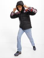 Duvet Jacket The North Face HIMALAYAN DOWN PARKA Hooded Feather D goose man Lavender Fog Cole Navin Halfdome Print