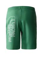  Pantaloncini Shorts UOMO The North Face Verde Deep GRAPHIC LIGHT 