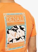 Leisure t-shirt The North Face TEE DUSTYCORALOR Cotton short sleeves Man Orange
