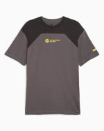 BORUSSIA DORTMUND 09 BVB Puma Ftbl Culture Rundhals Baumwolle Herren Shirt 2023 24 Grau