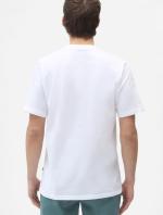 T-Shirt leisure dickies ICON LOGO Cotton Jersey Short sleeves crew neck White man
