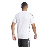 Training shirt Multisport Adidas Tiro 24 SweeTee short sleeve men's cotton white