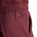 Pantaloncini Shorts UOMO Adidas BOS French Terry Shared Cotone Garzato 