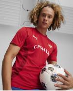 Training Shirt Puma SERBIA FSS Pre Match Stadium European Championship 2024 mens Red