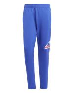  Pantaloni tuta Pants UOMO Adidas Future Icons Badge of Sport Royal 