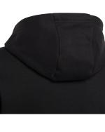 Adidas Entrada 22 Sweat Cotton Fleece Hoodie for Boys Black