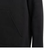 Adidas Entrada 22 Sweat Cotton Fleece Hoodie for Boys Black