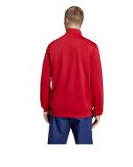 suit Jacket  BAYERN FC adidas Track Top DNA Mens 2024 25 Polyester Red