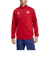 suit Jacket  BAYERN FC adidas Track Top DNA Mens 2024 25 Polyester Red