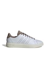  Scarpe Sneakers UOMO Adidas Advantage 2.0 Bianco marrone Lifestyle Lifestyle 