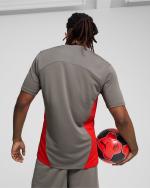 AC MILAN Puma 2024 25 men's training shirt Flat Medium Gray