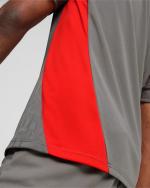 AC MILAN Puma 2024 25 men's training shirt Flat Medium Gray