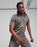 AC MILAN Puma 2024 25 men's training shirt Flat Medium Gray