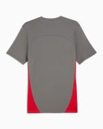 AC MILAN Puma 2024 25 men's training shirt Flat Medium Gray