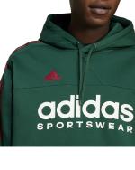  Felpa Cappuccio Hoodie UOMO Adidas House of Tiro Nations Pack Verde 