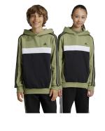  Felpa Cappuccio Hoodie Bambini ragazzi Adidas Essentials 3S Tiberio Verde 