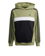  Felpa Cappuccio Hoodie Bambini ragazzi Adidas Essentials 3S Tiberio Verde 