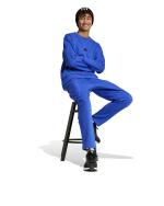  Felpa Sportiva UOMO Adidas Royal Blue City Escape Fleece Cotone Felpato 