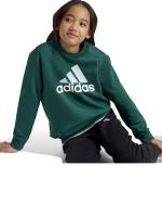 Adidas Kids Boys Essentials Big Logo Fleece Junior Cotton Tracksuit Green