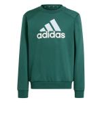 Adidas Kids Boys Essentials Big Logo Fleece Junior Cotton Tracksuit Green