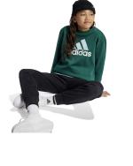 Adidas Kids Boys Essentials Big Logo Fleece Junior Cotton Tracksuit Green