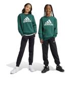 Adidas Kids Boys Essentials Big Logo Fleece Junior Cotton Tracksuit Green