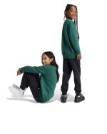 Adidas Kids Boys Essentials Big Logo Fleece Junior Cotton Tracksuit Green