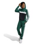 Addias Essentials 3-Stripes Tiberio Kids Fleece Pullover Hoodie Bottle Green