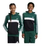 Addias Essentials 3-Stripes Tiberio Kids Fleece Pullover Hoodie Bottle Green