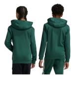 Addias Essentials 3-Stripes Tiberio Kids Fleece Pullover Hoodie Bottle Green