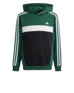 Addias Essentials 3-Stripes Tiberio Kids Fleece Pullover Hoodie Bottle Green