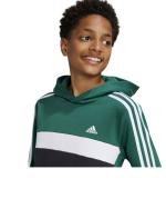 Addias Essentials 3-Stripes Tiberio Kids Fleece Pullover Hoodie Bottle Green