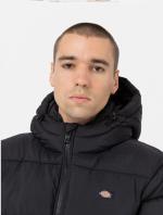 Dickies WALDENBURG HOODED Padded Jacket with Hood Original Men Black