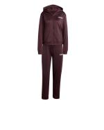  Tuta Intera Completa Tracksuit DONNA Adidas Linear Hoodie W Amaranto 