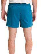 Running shorts Tekking THE NORTH FACE FREEDOMLIGHT Polyester man BANF BLUE