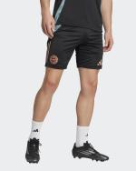 Training Shorts BAYERN Adidas AEROREADY TIRO 2025 Mens Black