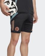 Training Shorts BAYERN Adidas AEROREADY TIRO 2025 Mens Black
