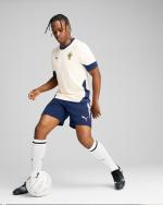 PORTUGAL FPF Puma 2025 Mens Training Shirt Sugared Almond-Persian Blue