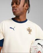 PORTUGAL FPF Puma 2025 Mens Training Shirt Sugared Almond-Persian Blue