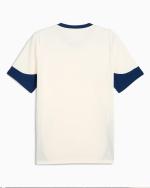 PORTUGAL FPF Puma 2025 Mens Training Shirt Sugared Almond-Persian Blue