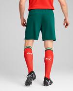 PORTUGAL FPF Puma Home Green Men's Football Shorts 2025