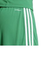  Pantaloncini Shorts UOMO Adidas Squadra 25 Football Verde Bianco 