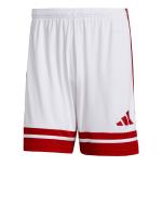 Adidas Squadra 25 Football Polyester Aeroready Men's Shorts Without Pockets White Red