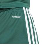  Pantaloncini Shorts UOMO Adidas Squadra 25 Football Verde Scuro Bianco 