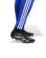  Pantaloni tuta Pants UOMO Adidas Tiro 24 Training Blue Royal 
