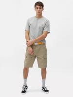 Dickies T-Shirt SS MAPLETON Cotton Jersey Short Sleeve Crew Neck Men's Grey