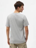 Dickies T-Shirt SS MAPLETON Cotton Jersey Short Sleeve Crew Neck Men's Grey