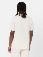 Dickies T-Shirt SS MAPLETON Cotton Jersey Short Sleeves Round Neck Man WHITECAP GRAY